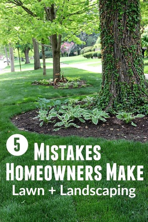 Taking care of your lawn and landscaping can take time and energy! STOP making these common mistakes! You will be happier, safer and have a gorgeous lawn! Front Lawn Landscaping, Potting Benches, Landscaping Around Trees, Mulch Landscaping, Lawn Design, Lawn Care Tips, Garden Wallpaper, Easy Landscaping, Landscape Edging