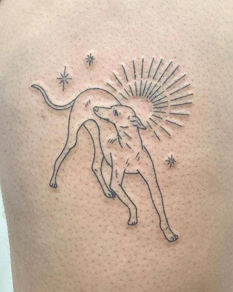 50 Amazing Greyhound Tattoos in Popular Styles | Inku Paw Animal Lover Tattoo, Greyhound Tattoo, Tatoo Dog, Tattoo Sonne, Wood Tattoo, Dog Paw Tattoo, Greyhound Art, Paw Tattoo, Tattoos For Lovers