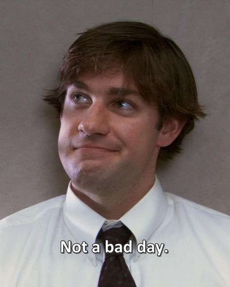 not a bad day. Jim From The Office Memes, Jim Quotes The Office, Jim Halpert Quotes, Jim The Office, The Office Jim, The Office Characters, Office Jokes, The Office Show, Jim Halpert