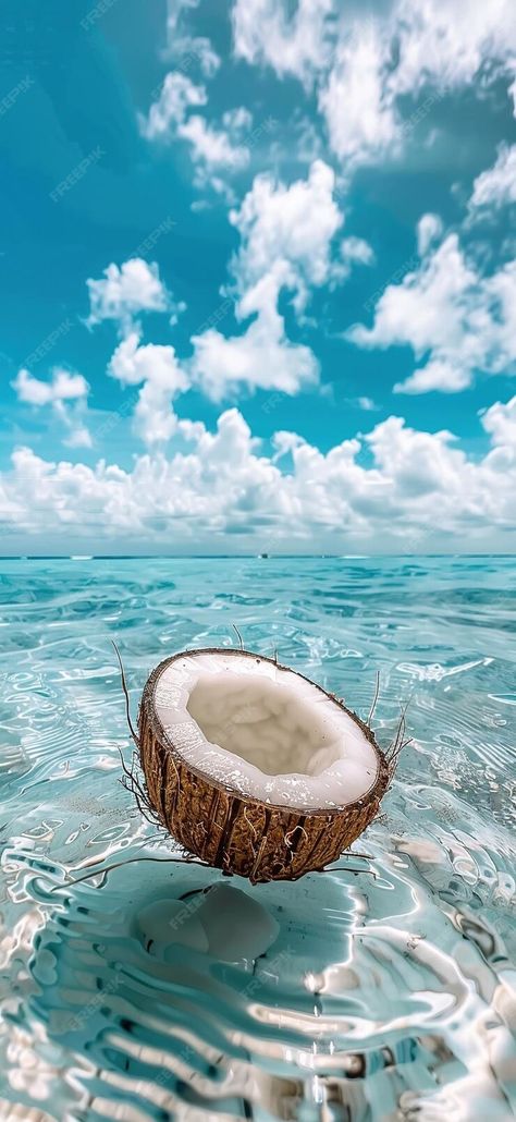 Premium Photo | A coconut floating in the clear blue sea tropical island background sunny day Tropical Sea, Unique Background, Coconut Background Aesthetic, Coconut Preppy, Tropical Wallpaper Aesthetic, Coconut Beach Aesthetic, Summer Tropical, Coconut Wallpaper, Summer Asthetics Photos Wallpaper