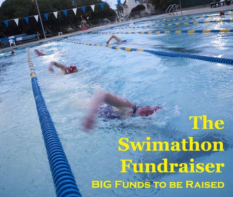 Summer Swim Team, Swim Coach, Team Fundraiser, Easy Diet Plan, Swimming Workout, Swim Team, Summer Swim, School Fundraisers, Low Impact Workout