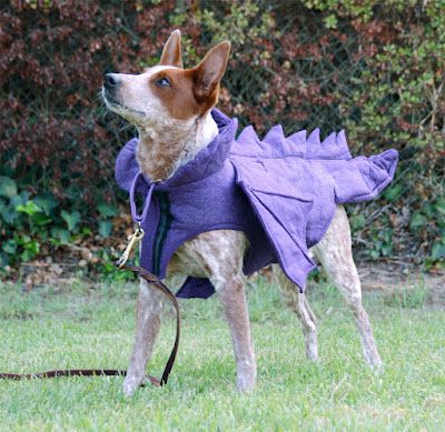 Dog Dragon Costume, Felt Costume, Felt Outfit, Dog Dragon, Dragon Dog, Dog Halloween Costume, Dragons Love Tacos, Make A Dragon, Medieval Fair