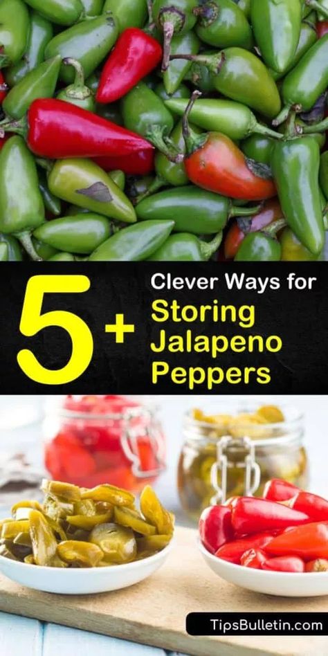 How To Save Jalapeno Peppers, Can You Freeze Jalapeno Peppers, Storing Jalapeno Peppers, How To Can Jalapeno Peppers, How To Preserve Jalapeno Peppers, Preserving Jalapeno Peppers, Can Jalapeno Peppers, Store Jalapenos, Preserving Jalapenos