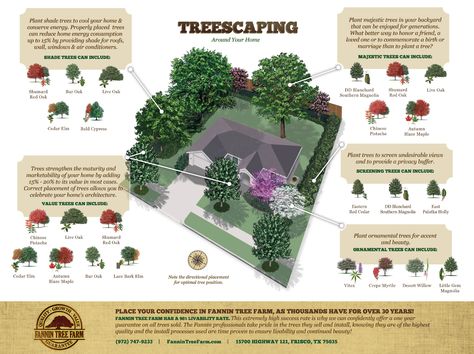 Fannin Treescaping Around Your Home #landscaping #gardening Where To Plant Trees In Backyard, Property Line Landscaping, Backyard Trees Landscaping, Tree Placement, Acreage Landscaping, Landscaping Around House, Trees For Front Yard, Landscaping Around Trees, Backyard Trees