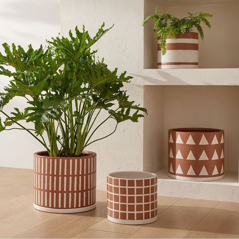 Rio Terracotta Indoor/Outdoor Cache Pots | West Elm Plant Pot Design, Plant Pot Diy, Painted Pots Diy, Painted Plant Pots, Fleurs Diy, Painted Terra Cotta Pots, Indoor Outdoor Planter, Painted Flower Pots, Monstera Plant