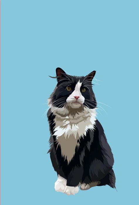 This pin is about art, cat art, cat illustration, cat art wallpaper, art inspiration. Cat Art Ideas, Persian Cat Art, Tuxedo Cat Art, Vet Office, Illustration Wallpaper, Cat Illustrations, Procreate Ipad Art, Cat Art Illustration, Persian Art