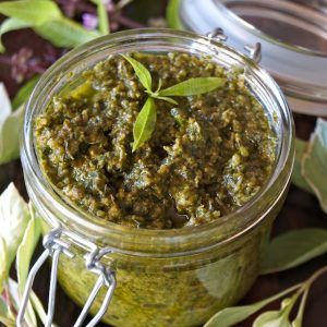 Basil-Lemon Verbena Pesto Recipe -- This pesto is made with basil and lemon verbena, and it's absolutely packed with fresh, intense, delicious flavors. It's rich, smooth and its lovely fragrance unbelievably divine! Lemon Verbena Recipes, Herb Recipes, Toasted Pine Nuts, Spread Recipes, Lemon Verbena, Pesto Recipe, Garden Recipes, Lemon Recipes, Tortellini