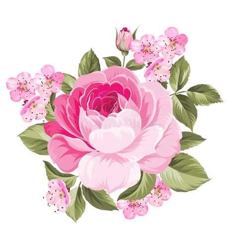 Vector Rose Flower, Sakura Flower Illustration, Pink Rose Illustration, Rose Flower Sticker, Rose Flower Illustration, Stickers Single, Botanical Vector, Rose Prints, Spring Flower Bouquet