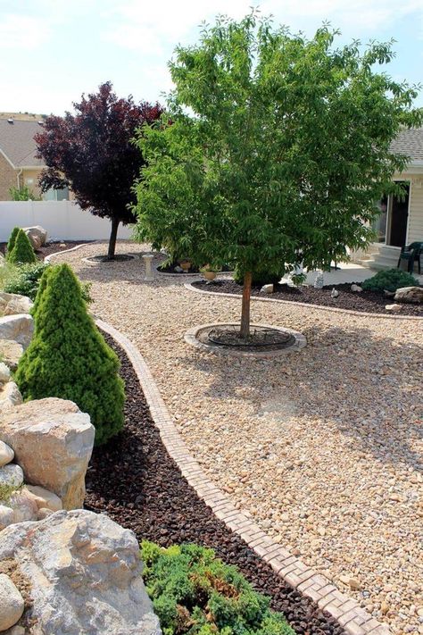 Desert Backyard, Xeriscape Landscaping, Front Yard Landscaping Pictures, Drought Tolerant Landscape, Gravel Driveway, Low Maintenance Landscaping, Rock Garden Landscaping, Front Yard Landscaping Simple, Low Maintenance Garden