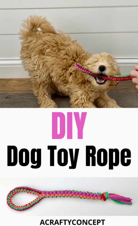 How To Make Dog Toys Diy, Diy Crochet Dog Toy, T Shirt Yarn Dog Toy, Dog Toys Made From Tshirts, T Shirt Dog Toy Diy, Diy Dog Rope Toy, How To Make Dog Toys, Diy Rope Toys For Dogs, Diy For Dogs