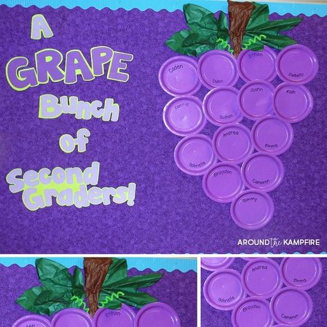 Here's a super easy back to school bulletin board idea made with purple paper plates from @dollartree and butcher paper! Grab pics of your… Cheer Painting, September Bulletin Boards, Door Bulletin Boards, Book Area, Meet The Teacher Night, School Brochure, Birthday Bulletin Boards, Birthday Bulletin, Preschool Bulletin