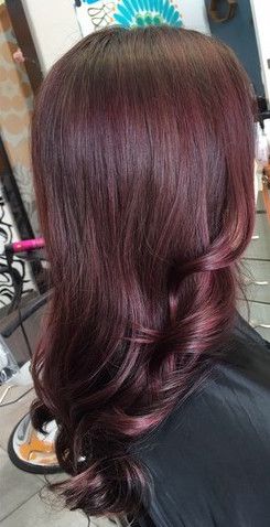 The result: chocolate raspberry! Raspberry Chocolate Hair Color, Chocolate Raspberry Hair, Raspberry Hair Color, Raspberry Hair, Cherry Hair Colors, Hair Color Mahogany, Hair Color Chocolate, Cherry Hair, Chocolate Hair