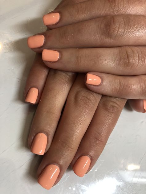 Sweet apricot by dnd 💅🏽 #gelnails #dnd #gelmani #gelpolish #gelcolor @dndgel