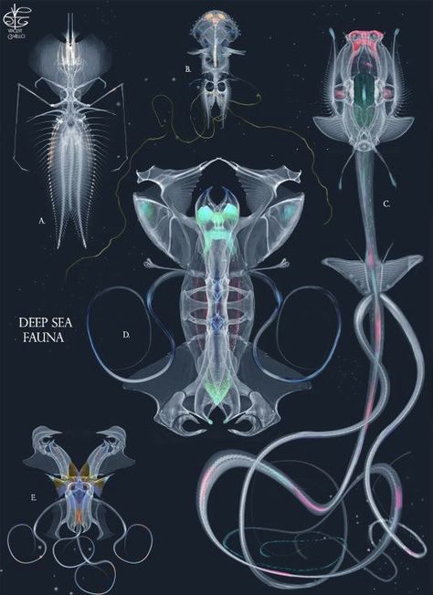 Deep Sea Horror, Fantasy Sea Creatures, Underwater Monster, Animal Chart, Deep Sea Creature, Monster Beast, Horror Design, Scifi Horror, Speculative Evolution