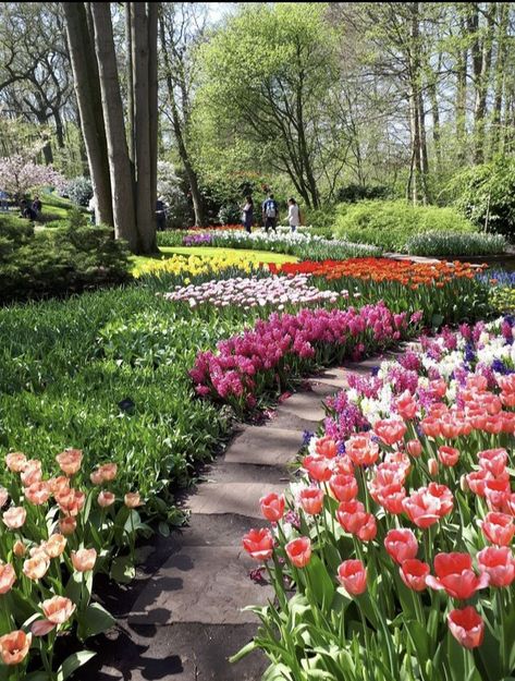 Floral Park, Good Morning Flowers Gif, Front Landscaping, Nice Pictures, Spring Photos, Formal Gardens, Landscape Plans, Beautiful Flowers Garden, Spring Bulbs