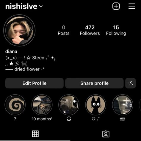 Instagram Profile Icons Aesthetic, Insta Account Layout, Instagram Account Themes, Ideas For Instagram Profile, Pfp For Highlights On Insta, Facebook Profile Ideas, Aesthetic Instagram Account Ideas, Aesthetic Insta Profile Ideas, Instagram Profile Inspiration