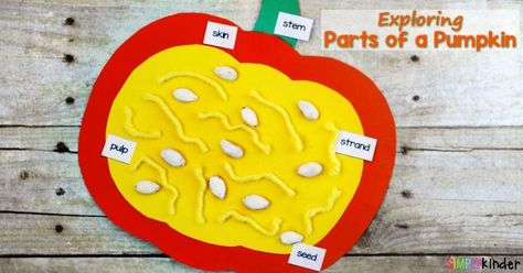 Free parts of a pumpkin labels from Simply Kinder.  A great Fall or Halloween Activity All About Pumpkins, Preschool Pumpkin, Pumpkin Lessons, Pumpkins Preschool, Pumpkins Kindergarten, Pumpkin Unit, Parts Of A Pumpkin, Halloween Kindergarten, Pumpkin Activities