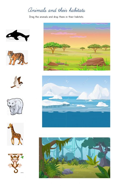 Animal Habitats Preschool, Classifying Animals, Animals And Their Habitats, Habitat Activities, Animal Classification, Continents And Oceans, Animal Worksheets, Kids Worksheets Preschool, Kids Math Worksheets