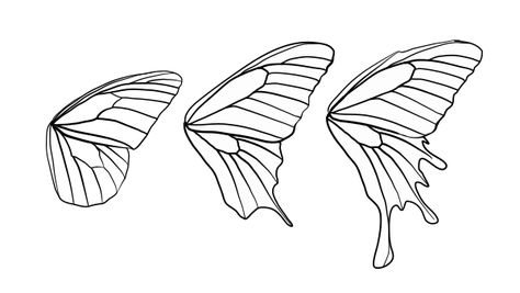 butterfly wing shapes | drawingbutterfly_8-2_design_shape Butterfly Wing Drawing, Butterfly Wing Shapes, Butterfly Wings Drawing, Butterfly Wings Design, Butterfly Wing Pattern, Wing Shapes, Butterfly Wing Tattoo, Draw A Butterfly, Diy Fairy Wings