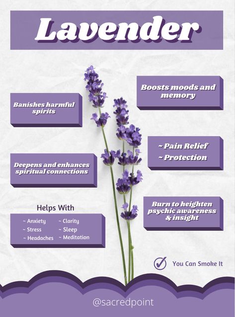 #lavender #herbs Lavender Herb Uses, Lavender Plant Uses, Magical Properties Of Herbs, Smokable Herbs, Witch Tea, Magic Ingredients, Dnd Druid, Lavender Art, Cravings Recipes