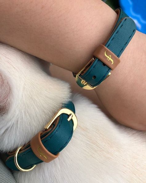 THE CLASSIC PUP: CLASSIC PUP RACING GREEN FriendshipCollar Cool Dog Collars, Dog Accesories, Leather Engraved, Velvet Dog Collar, Personalized Leather Dog Collar, Dog Shock Collar, Leather Dog Collar Custom, Luxury Dog Collars, Cute Dog Collars