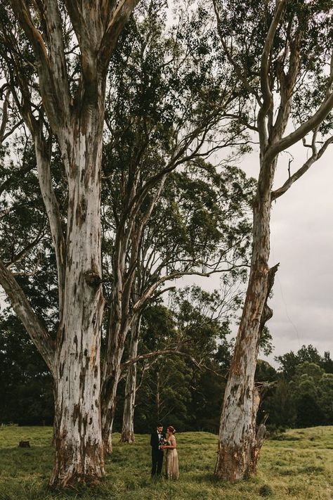 Australian Farm Wedding Rustic, Forest Wedding Australia, Rustic Australian Wedding, Australian Outback Wedding, Australian Country Wedding, Australian Bush Wedding, Farm Wedding Australian, Bush Wedding Australian, Outback Wedding