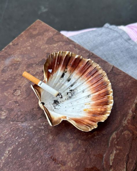 Seashell Ashtray, Sea Shell Aesthetic, Ashtray Aesthetic, Aesthetic Ashtray, Shell Ashtray, Oyster Restaurant, Dream House Beach, Wilshire Boulevard, French Arch