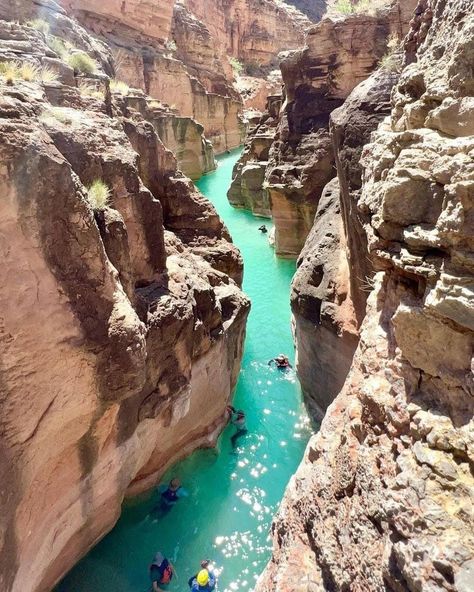 Exploring the Beauty of Havasu Creek: A Nature Lover's Paradise Havasu Creek Arizona, Spontaneous Travel, Untouched Nature, Arizona Photography, Arizona Road Trip, Sun Devils, Trip Outfits, Arizona Travel, Arizona Usa