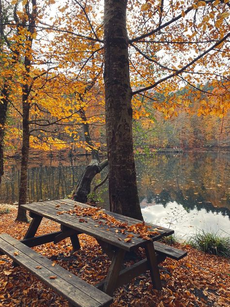 Autumn By The Lake, Fall By The Lake, Cottage Fall Aesthetic, Autumn Cabin Aesthetic, Autumn Lake Aesthetic, Fall Romance Aesthetic, Hello November Aesthetic, Maine Autumn, Northern Attitude