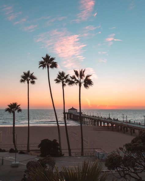 Have A Good Week, Good Week, Manhattan Beach, Palm Trees, Manhattan, The Beach, Trees, California, Sun