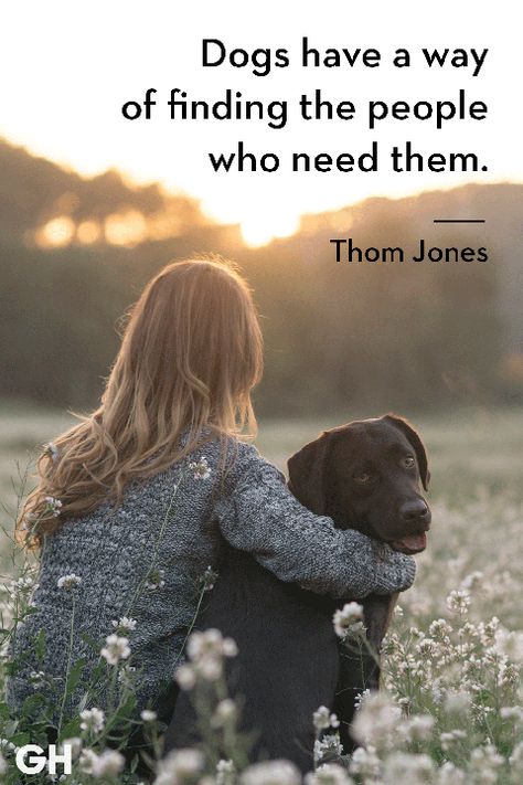 Dogs have a way of finding the people who need them. Follow Pacific Paws for Dog apparel, Dogs facts, Dog quotes, Dog ideas, Dog DIY and all your other Dog needs. Phteven Dog, Quotes Heaven, God Dog, Pet Quotes Dog, Inspirational Animal Quotes, Best Dog Quotes, Dogs Quotes, Puppy Quotes, Dog Sayings