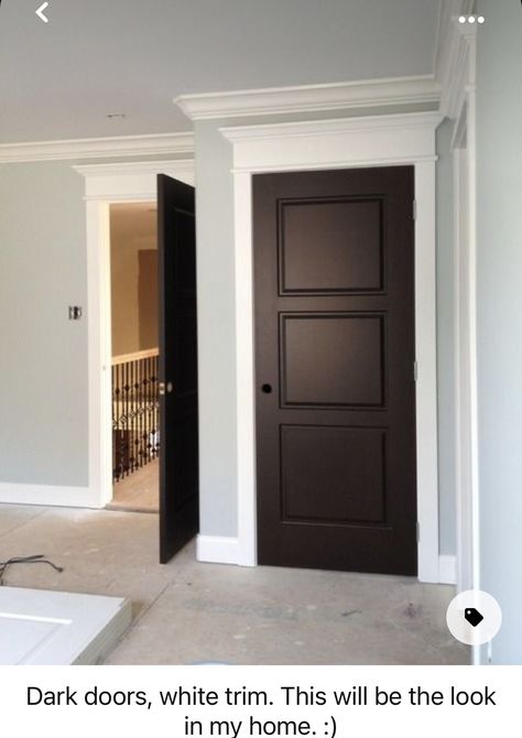 Black Doors Interior White Trim, Trim Entryway, Black Doors Interior, Brown Interior Doors, Interior Door Colors, Pale Blue Walls, Painting Trim White, Dark Doors, Painted Interior Doors