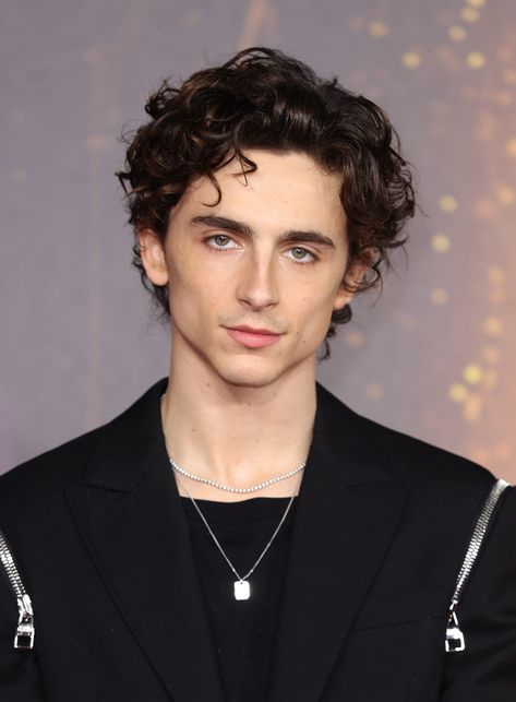 Timothee Chalamet Haircut, Mario Sorrenti, Timmy T, Regulus Black, Salty Hair, Classic Movie Stars, Her Cut, Texturizer On Natural Hair, Hair Starting