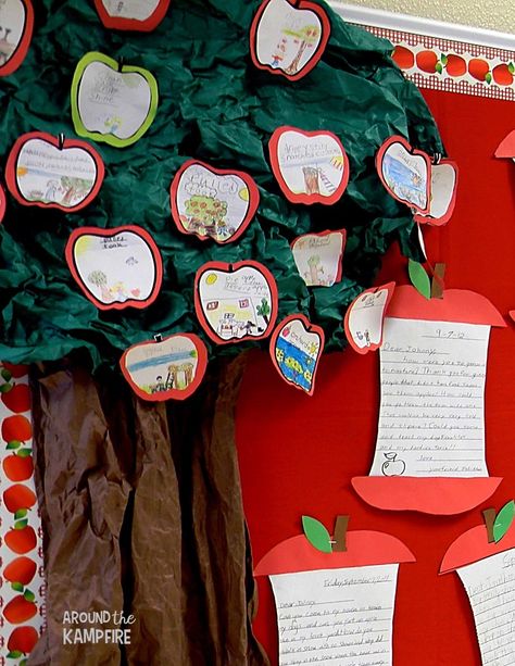 Apple themed bulletin board ideas to display student work September Apple Bulletin Board Ideas, Collective Nouns Activities, Noun Activity, September Apples, Student Work Bulletin Board, Apple Theme Classroom, Apple Bulletin Boards, Catechism Crafts, September Bulletin Boards