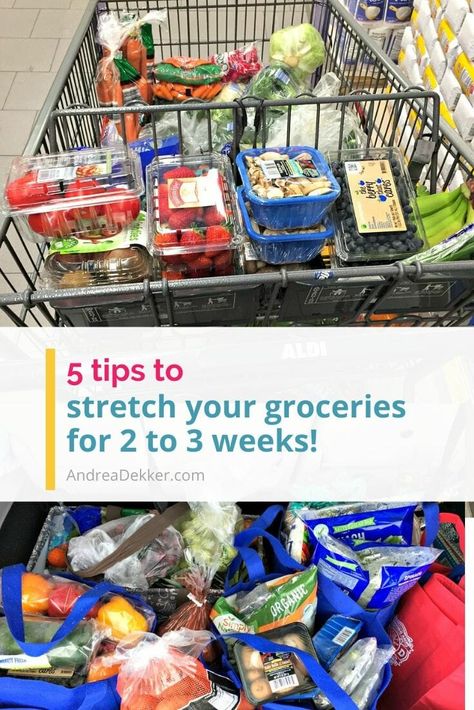 If you dislike grocery shopping but still want to eat a variety of fresh produce and other nutritional foods, these 5 tips to stretch your groceries should help you avoid the grocery store for weeks at a time! You'll save time, save money, save your sanity... and eat really well too! via @andreadekker Freezing Food Guide, Nutritional Foods, Frugal Grocery Shopping, Grocery Savings Tips, Aldi Meal Plan, Grocery Planning, Plane Food, How To Store Potatoes, Weekly Grocery