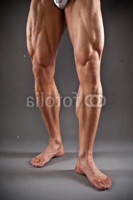 Leg Muscles Anatomy, Leg Reference, Leg Anatomy, Human Anatomy Reference, Muscular Male, Modele Fitness, Muscular Man, Man Anatomy, Muscular Legs