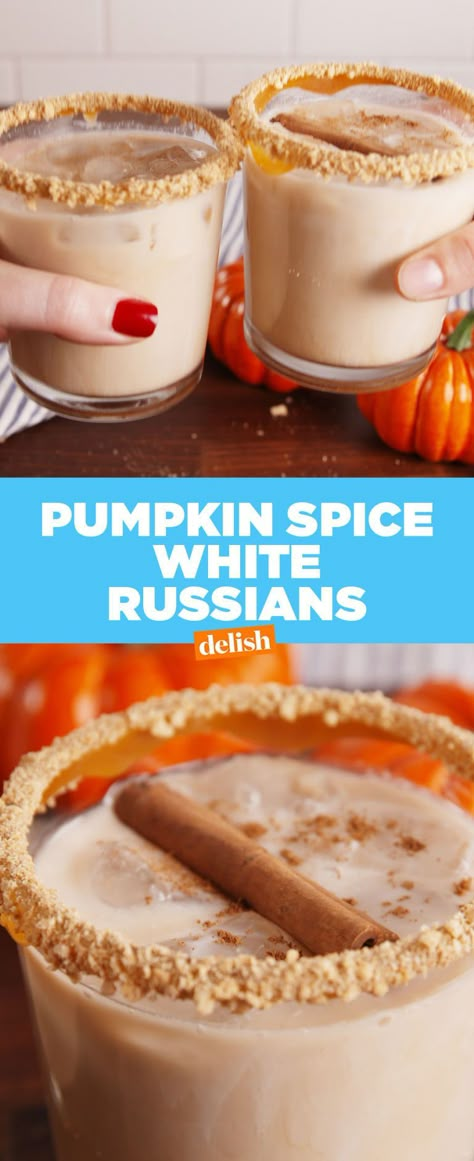 Pumpkin Spice White Russian, Pumpkin Spice Drinks, Pumpkin Spice Creamer, Pumpkin Drinks, Spiced Drinks, Thanksgiving Drinks, Creme Dessert, Boozy Drinks, Pumpkin Everything