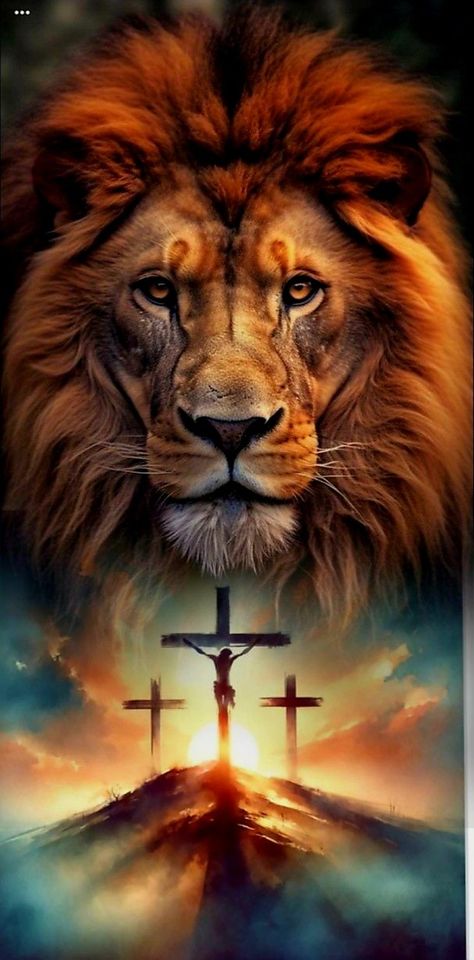 Lion Of Judah Jesus, Jesus Drawings, Bible Verse Pictures, Jesus Artwork, Prophetic Art, Lion Pictures, Bride Of Christ, Jesus Christ Images, Jesus Bible