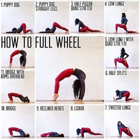 How to do Full Wheel  #fitabouts #motivation #yogalife #pose #fit #yogafun #yogaeverydamnday #health #yogadaily #yogalove #yogapractice… Flexibility Exercises, Yoga Ashtanga, Wheel Pose, Yoga Iyengar, Trening Fitness, How To Start Yoga, Yoga Help, Yoga Exercises, Yoga For Flexibility