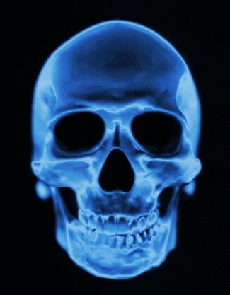 Skull GIF Image for Whatsapp and Facebook new gif DXW  #gif #GIFs #newgif Check more at https://ngif.net/skull-gif-image-for-whatsapp-and-facebook-new-gif-dxw/ Xray Art, Hot Springs Arkansas, Colorful Skulls, Ghost Tour, Dragon Pictures, Human Skull, Ex Machina, Skull And Bones, Design Graphique