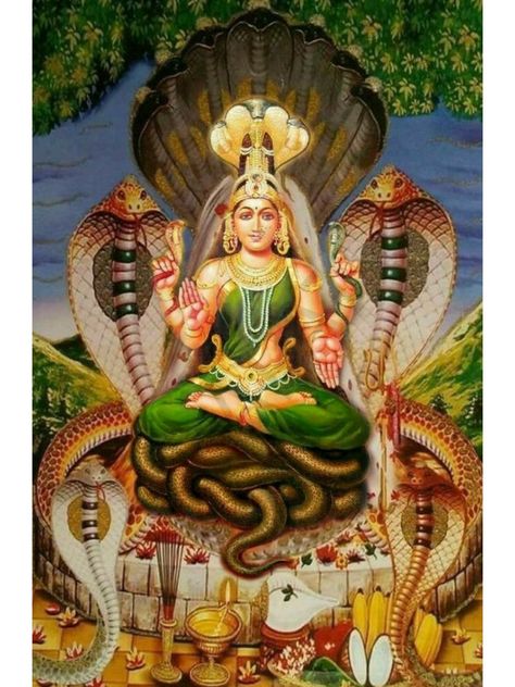 Naag Devta Images, Manasa Devi Images, Nagamma God, Manasa Devi Goddesses, Nrisingha Dev, Tara Devi Goddesses, Maa Manasa, Manasa Devi, Kali Hindu