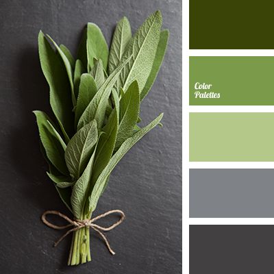 color palettes gray green red | light green and dark gray | Color Palette Ideas Flat Bedroom, Grey Color Palette, Different Shades Of Green, Room Paint Colors, Design Seeds, Living Room Green, Color Balance, Living Room Bathroom, Bedroom Green