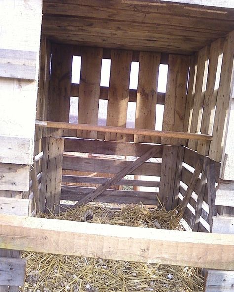 Turkey house Turkey Coops Diy, Diy Turkey Nesting Boxes, Pallet Turkey Coop, Diy Turkey Feeder, Turkey Coops Ideas, Turkey Coop Diy, Pet Turkey House, Turkey Shelter Ideas, Turkey Roost Diy