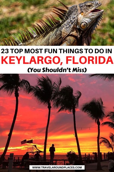 23 Top Most Fun Things to do in Key Largo Florida | best things to do in key largo | fun things to fo in key largo | unique things to do in key largo | outdoor things to do in key largo | places to visit in key largo | things to see in key largo | #thingstodo #travelbucketlist #usaroadtrip #ustraveldestinations #travelbucketlist Things To Do In Key Largo Florida, Caladesi Island Florida, Bungalows Key Largo Florida, Things To Do In Key Largo, Ocean Reef Club Key Largo, Key Largo Florida Things To Do In, Key Largo Restaurants, Things To Fo, Florida Disney World