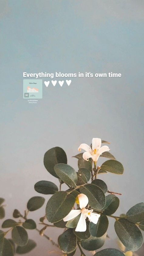 Instagramstoryinspirationastheticflowersquotesideas Short Selflove Captions, Aesthetic Wallpaper For Instagram Story, Flowers Asthetic Caption, Instagram Story Ideas Flowers Caption, Pov Caption Ideas For Flowers, Deep Flower Quotes, Flowers Story Instagram Ideas, Instagram Story With Flowers, Aesthetic Qoutes Flower