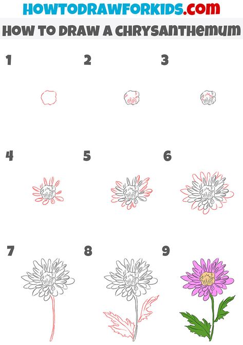 how to draw a chrysanthemum step by step How To Draw Aster Flower Step By Step, Chrysanthemum Tutorial Drawing, How To Draw Chrysanthemum Step By Step, How To Draw Aster Flower, How To Paint A Chrysanthemum, Chrysanthemum Painting Easy, Easy Chrysanthemum Drawing, Chrysanthemum Drawing Step By Step, Chrysanthemum Flower Drawing Simple