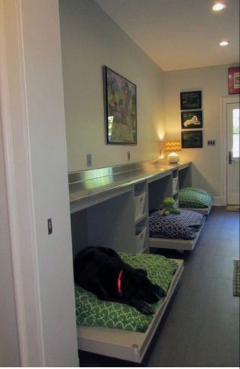 Dog Bedrooms, Utility Room Designs, Dog Bedroom, Puppy Room, Dog Spaces, Dog Room, Dog Hotel, Multiple Dogs, Dog Area