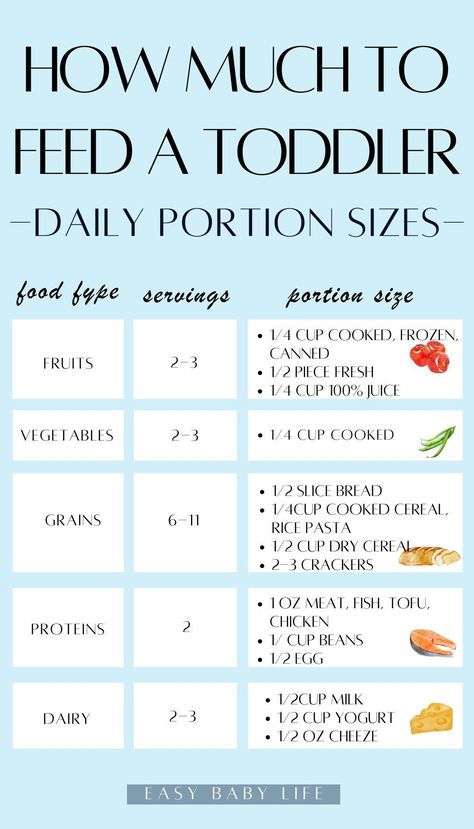 Preschool Meals, Portion Size Guide, Feeding Baby Solids, Baby Solids, Easy Toddler Snacks, Meal Plan For Toddlers, Toddler Menu, Baby Meal Plan, Daycare Meals