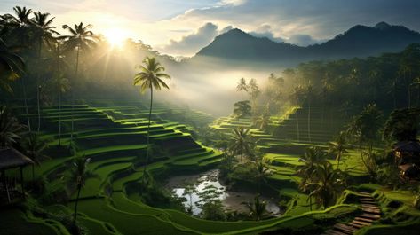 Breathtaking Bali Nature Free Image Bali Wallpaper, Bali Landscape, Bali Nature, Green Inspo, Mountain Landscapes, Architecture Background, Bali Island, Rice Terraces, Clear Blue Sky