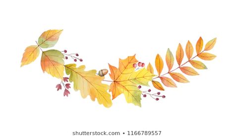 Autumn Vector, Forest Animals Theme, Foliage Watercolor, Leaves And Branches, Leaves Vector, Autumn Wreath, Autumn Wreaths, Forest Animals, Fall Foliage